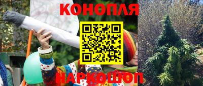 гашик Ипатово
